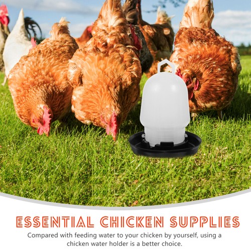 Automatic Drinking Fountain Baby Chick Waterer Chicken System Feeder - 第 12/12 張圖片