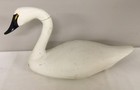 RARE 18” Swan Decoy Carved & Painted By Capn. Harry Jobes, 1983, Some Damage — photo 1