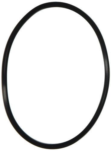 Pentair 071444 355227 Diffuser O-Ring 