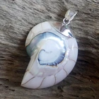 Medium Size White Nautilus Shell Pendant 925 Sterling Silver Jewelry, NSP-684