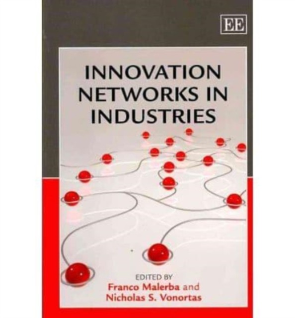 Innovation Networks in Industries by Franco Malerba PAPERBACK 9781848448018