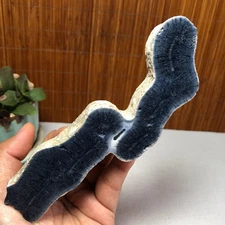 Natural Blue Coral Reef Cluster Marine Mineral Crystal Specimen 146g A1198