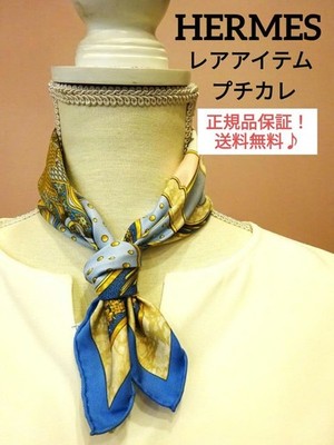 Hermes Silk Scarf Carre 45 CARPE DIEM Gloria Soli Blue excellent gift