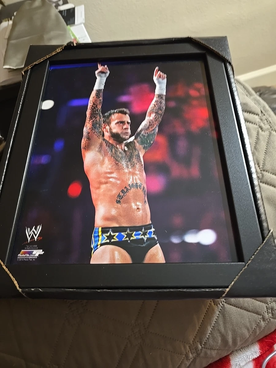 CM Punk WWE Wrestling Photos for sale | eBay