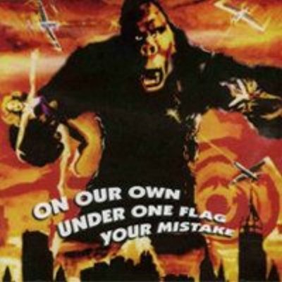 On Our Own / Under One Flag / Your Mistake - Split CD TERROR UNTIL THE END 