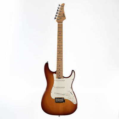 EART guitar NK-VS60,Roasted Book-match Mahogany Body,Stainless Steel