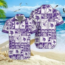 Minnesota Vikings Collecting and Fan Guide 22