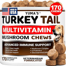 Turkey Tail Mushroom for Dogs Immune Support Dog Vitamins Supplements for Lumps