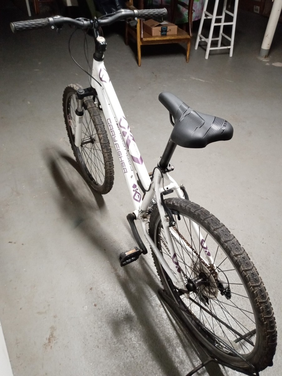 Mako 2010 Gary Fisher Mountain Bike 2010 Gary Fisher Paragon G2