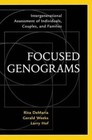 Focused Genograms: Intergenerational Assessment of Individuals, Couples, and Families by Rita Demaria, Gerald R. Weeks, Larry Hof (Paperback, 1999)