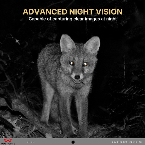 Mini Trail Camera 2 Pack 32MP 1080P HD Deer Camera con 32GB Scheda SD Fotocamera Gioco - Foto 6 di 8