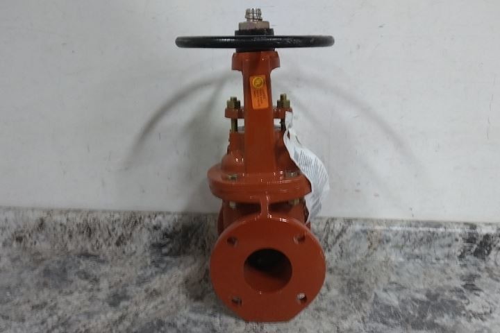 Watts OSY-RW-Gate 3" 3 In Nominal Valve Size 250 Max PSI Cast Iron Gate Valve