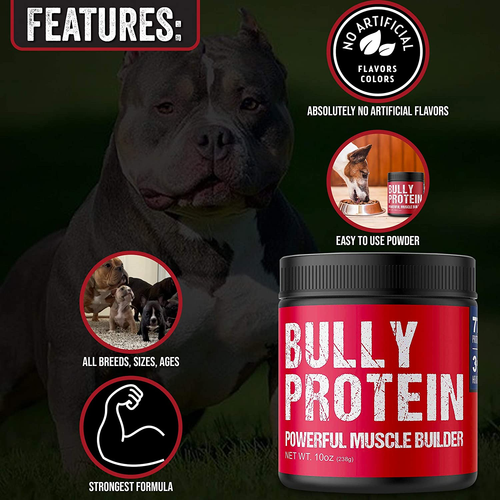 dog muscle builder powder