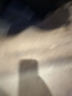 Picture 3 of 8