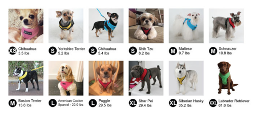 Arnés para perro cachorro malla transpirable ajustable sin tirón Vivien rojo XS S M L - Imagen 5 de 7