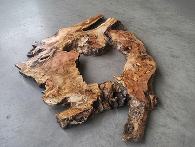 Live Edge Olive Root Slab for DIY and Epoxy Table, Ready to be Resin Table 12x16