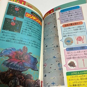 Dragon Spirit PC Engine 1989 Winning Strategy Guide Rare Vintage Game