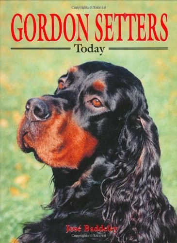 Gordon Setters Today (Book of the Breed S),Jose Baddeley