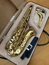 Yanagisawa Alto A-900µ  in Excellent condition (Include Taxes)