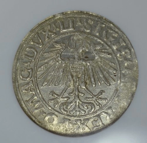 1548 Poland - 1/2 G Groschen - Lithuania - NGC MS63 GUM-598