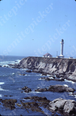 sl77 Original slide 1984 Point Arena Light house / cliff  127a