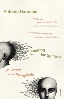 Looking For Spinoza: Joy, Sorrow and the Feeling Brain  ... | Buch | Zustand gut