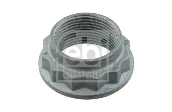 FEBI 01841 NUT KINGPIN Front,Rear,Rear LH,Rear RH (BOX OF 20)