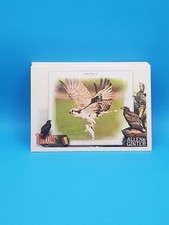 2023 Allen & Ginter - Talonted - You Pick - UPDATED 9-7-25