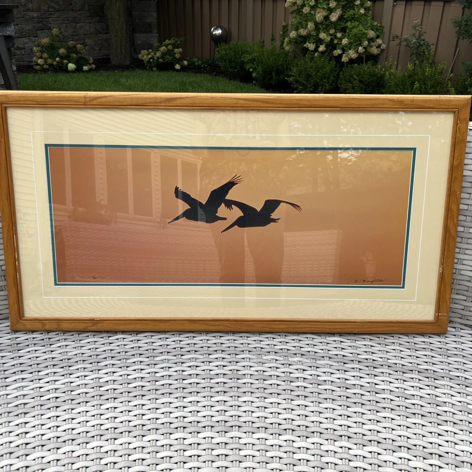 Foto artística firmada por Thomas Mangelsen Ltd pelícanos aves alas al atardecer numeradas MCM Foto 2 de 4