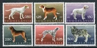 1390 - Yugoslavia 1970 - Dogs - MNH Set - Michel:1390/5