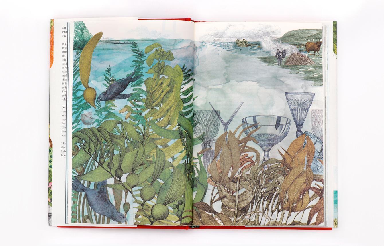 Thumbnail - In 80 Pflanzen Um Die Welt, Jonathan Drori