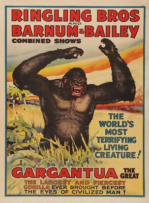 Ringling Bros Barnum & Bailey Giant Gorilla Circus Poster Photo rePrint 13''x19''