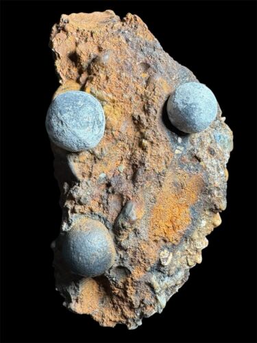 SHIPWRECK 1600s Musket Bullet Clump Dutch East India Company Colonial Era Campen - Picture 4 of 6
