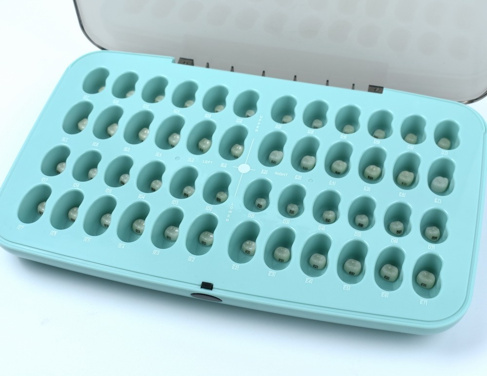 Zirconia Crowns Dental Kids Primary Molar Crowns Pediatric crown