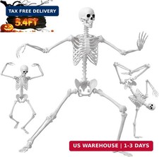 5.4FT/165cm Halloween Life Size Human Skeleton with Full Body Posable Joint