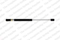 Kilen Gasfeder Motorhaube FüR Audi A8 4E Bj.03-10 Bj.05-10 Bj.02-06 Bj.06-10