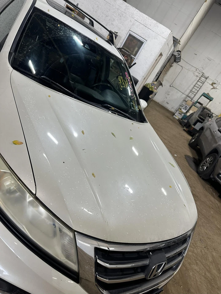 Used Hood fits: 2013 Honda Crosstour Grade A Foto 3 de 4