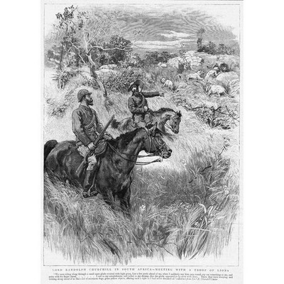 SÜDAFRIKA Lord Randolph Churchill Treffen mit einer Gruppe Löwen - antiker Druck 1891