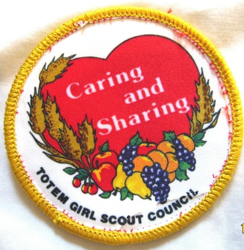 47 Different Girl Scout Council PATCHES By State: VT VA WA WV WY CHOOSE ONE - Picture 35 of 49