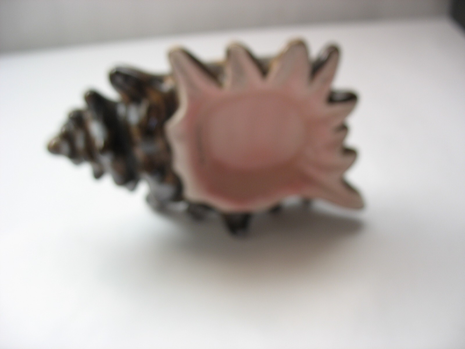 Bild 6 von 8