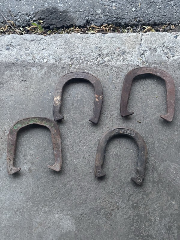 MacGregor Super Duluth Ringer Double Ringer Horseshoe Game Set