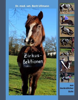 Berit Ullmann | Zirkuslektionen | Buch | Deutsch (2017) | 136 S.