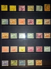 ASSORTMENT OF WESTERN AUSTRALIA SWANS.
