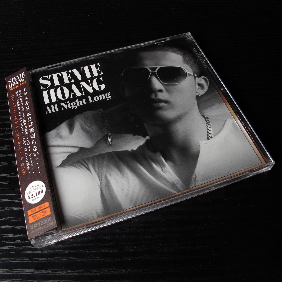 ボブ・ディラン　Everything Looks Far Away (2CD) Stevie Hoang - All Night Long JAPAN CD Mint W/OBI AVCD-23916 #113