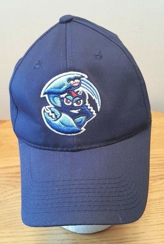 Jersey Shore Blue Claws Minor League 
