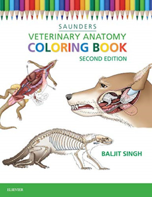 Veterinary Anatomy Coloring Book, 2e - Paperback NEW SAUNDERS (Autho 2015-06-19