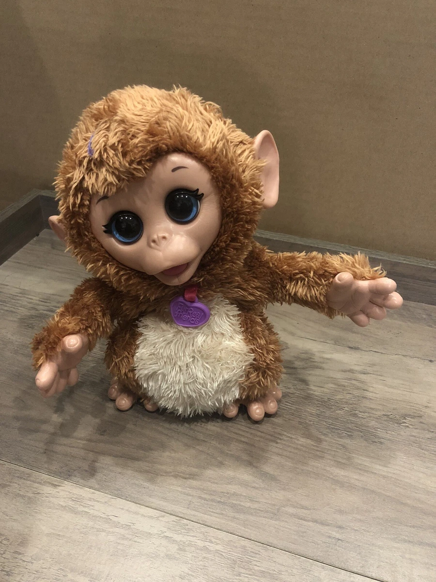 My giggly 2024 monkey pet