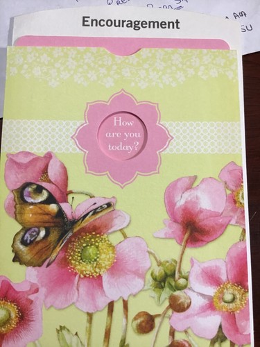 ENCOURAGEMENT Cards For FRIEND, Nature's Sketchbook brand 3 styles Hallmark NS35 - Picture 2 of 12
