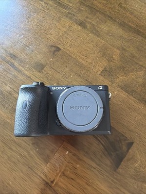 Sony Alpha a6600 24.2MP Mirrorless Camera - Black (Body Only)
