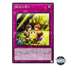 Mikanko Promise N TTP1-JP073 TACTICAL-TRY PACK Yu-Gi-Oh! Japanese